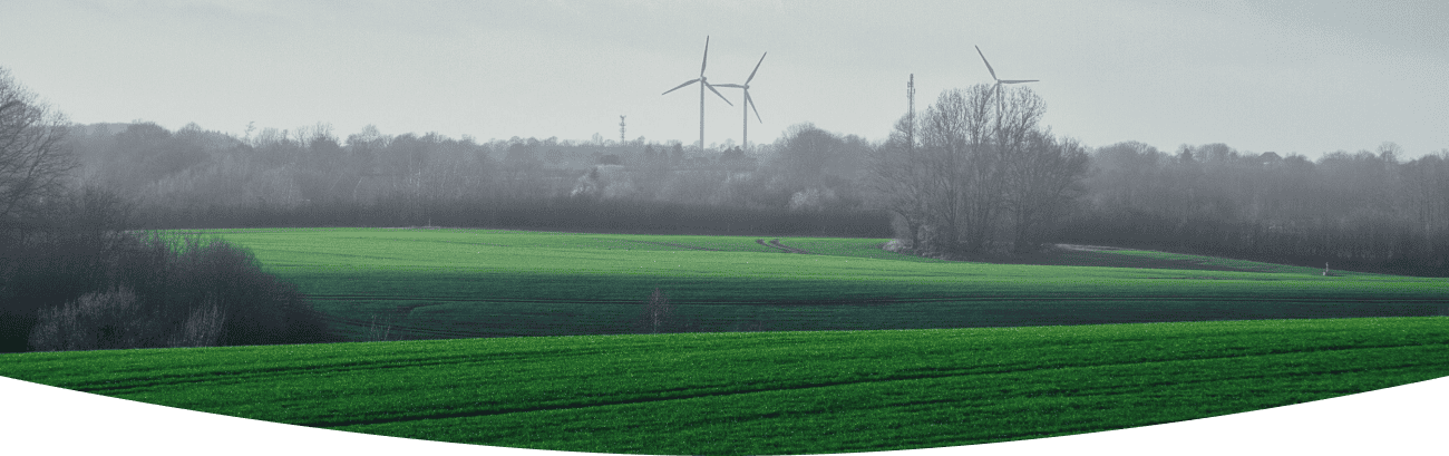a green field