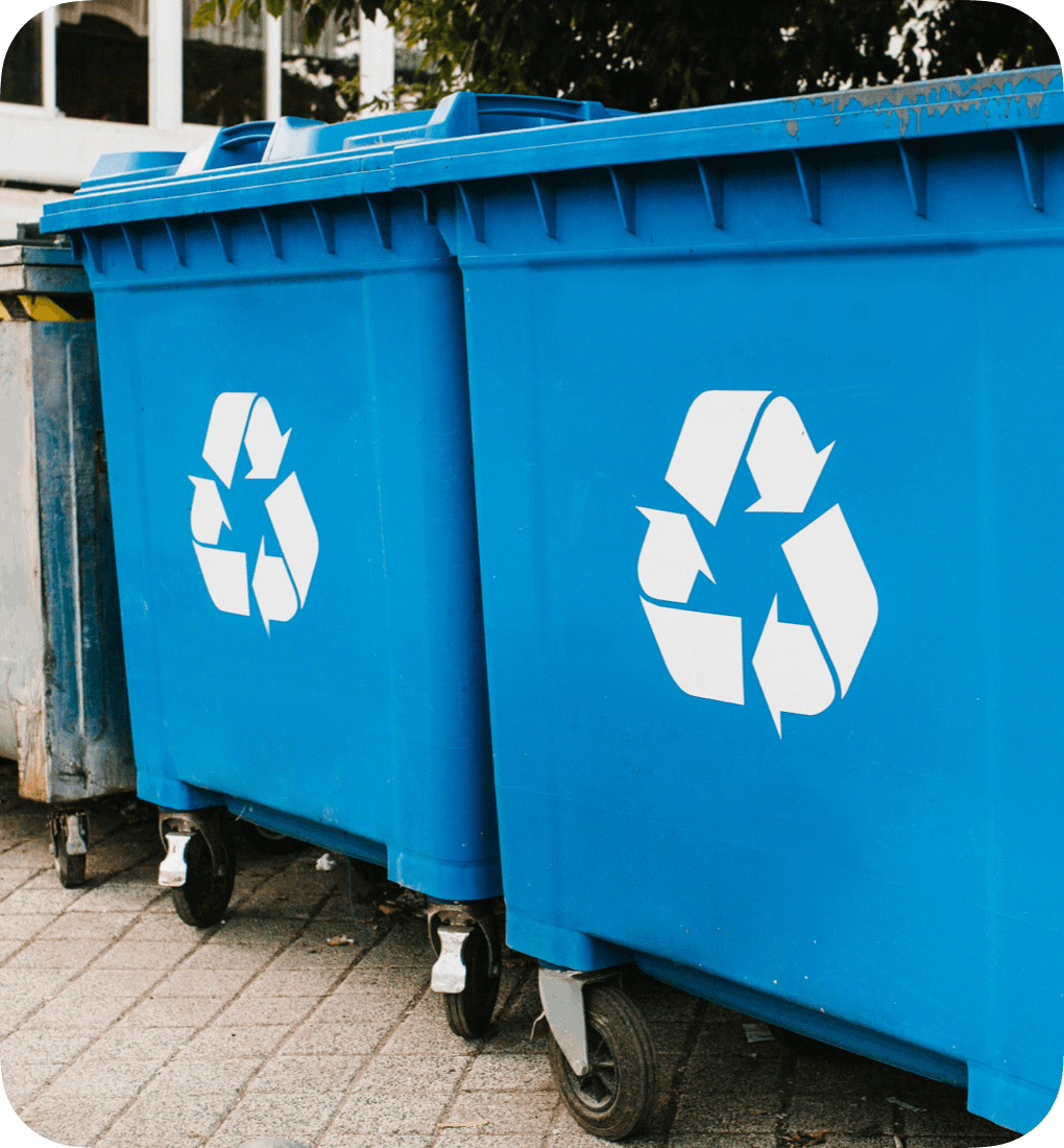blue wheelie bins